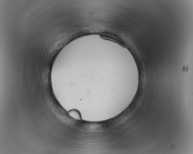X0000112160501200909041130