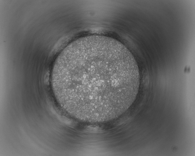 X0000112160502200909041130
