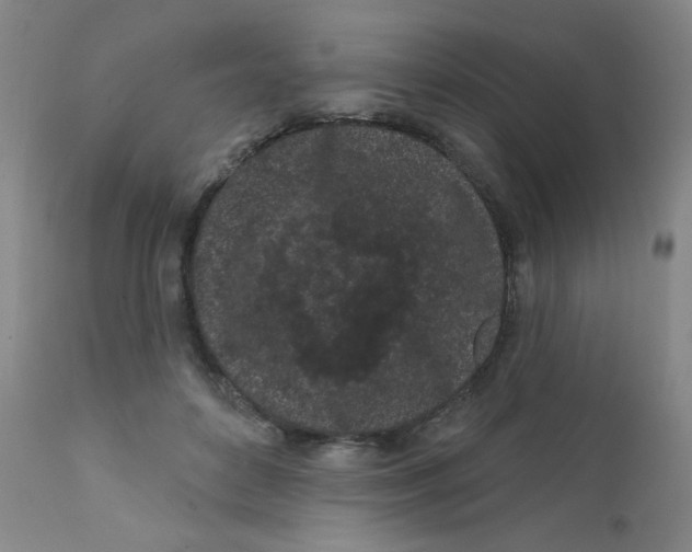 X0000112160504200909041130