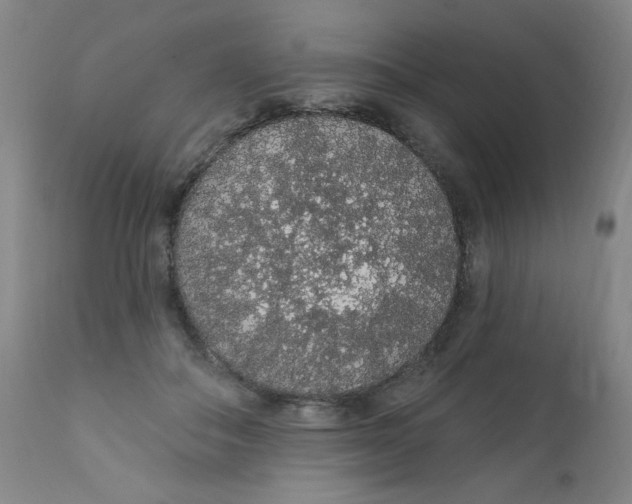 X0000112160506200909041130