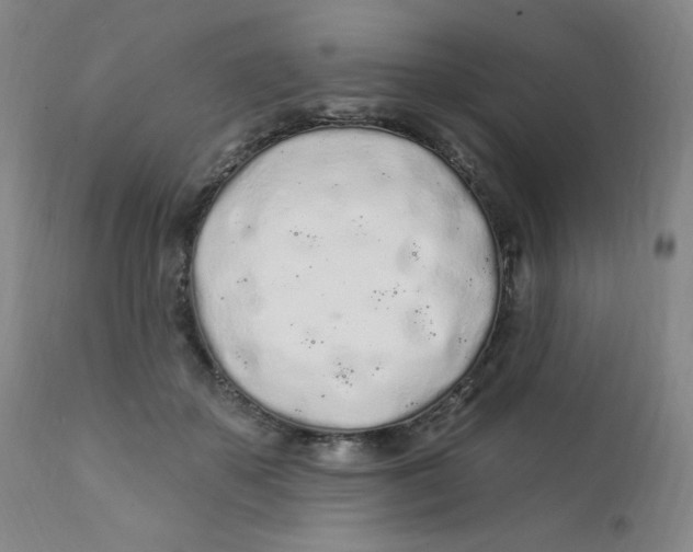 X0000112160507200909041130