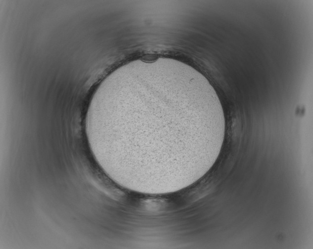 X0000112160508200909041130