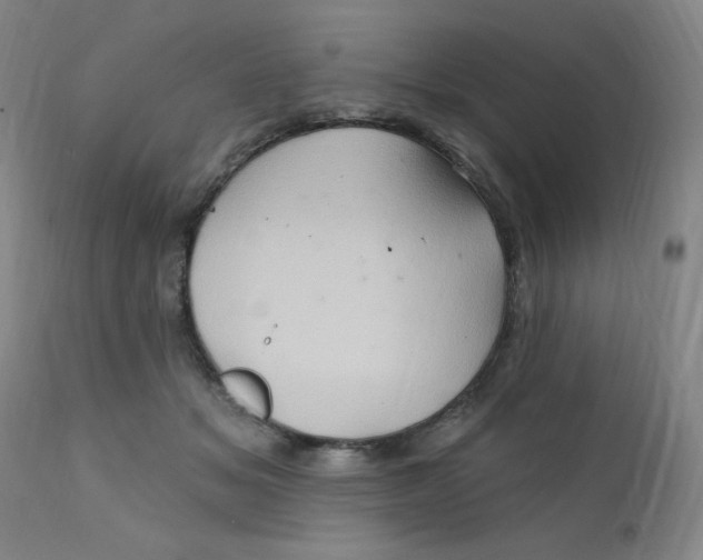 X0000112160509200909041130