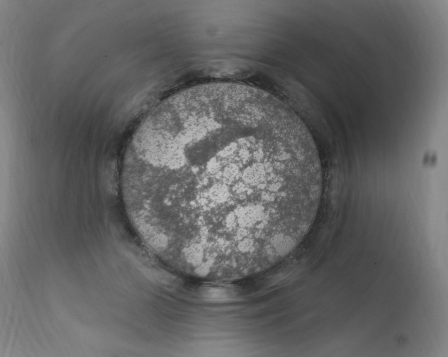 X0000112160510200909041130