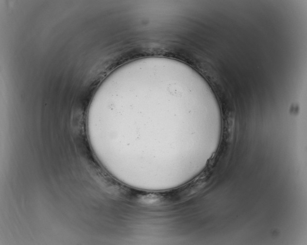 X0000112160511200909041130