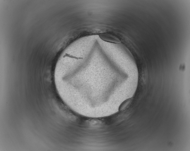 X0000112160512200909041130
