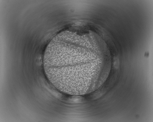 X0000112160514200909041130