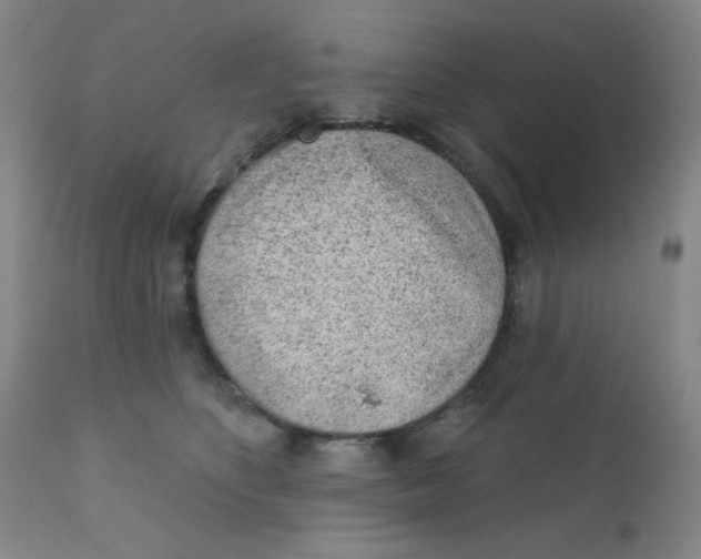 X0000112160516200909041130