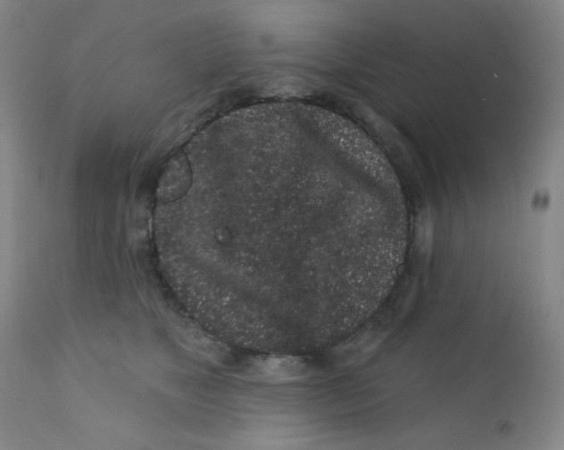 X0000112160517200909041130
