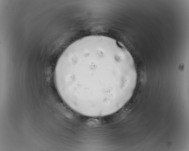 X0000112160519200909041130