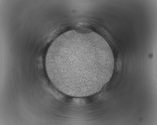 X0000112160520200909041130