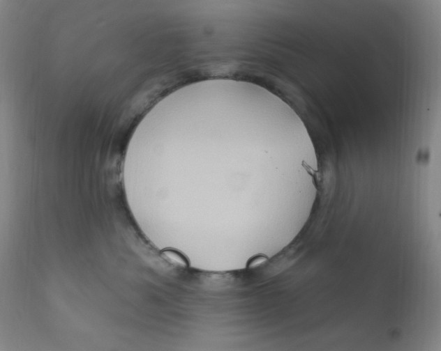 X0000112160525200909041129