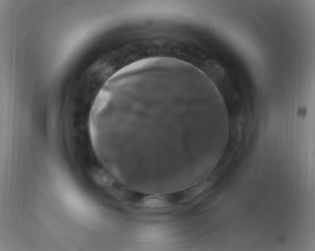 X0000112160526200909041129