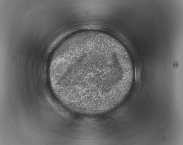 X0000112160531200909041129