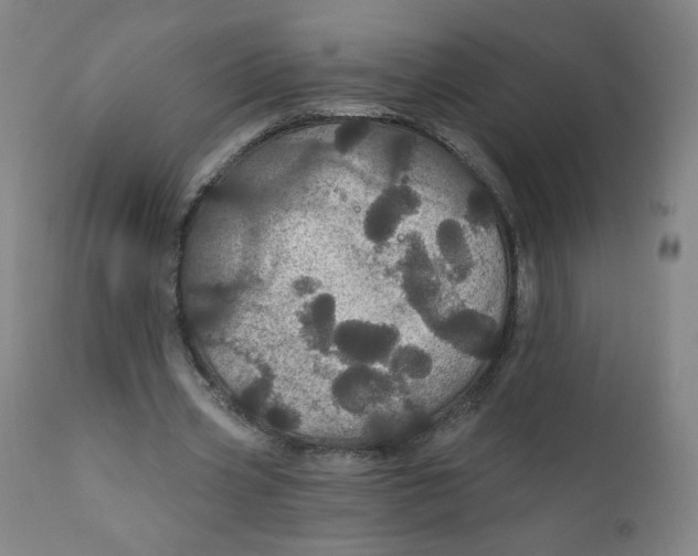 X0000112160533200909041129