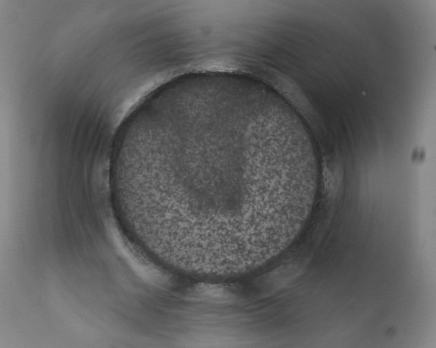 X0000112160534200909041129
