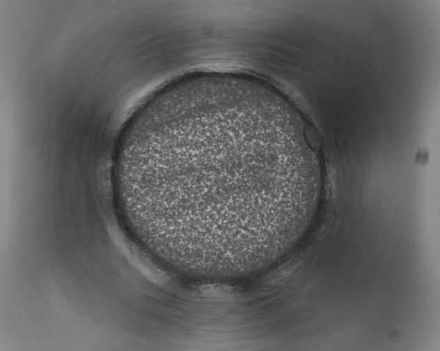 X0000112160535200909041129