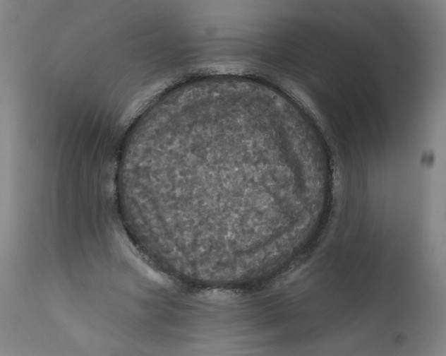 X0000112160537200909041129