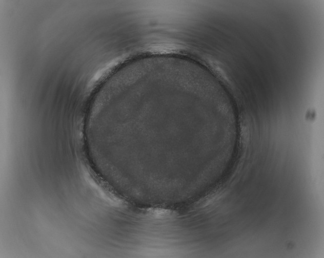 X0000112160539200909041129
