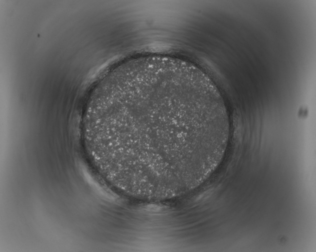 X0000112160542200909041129