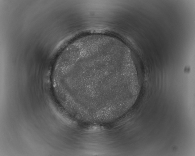 X0000112160543200909041129