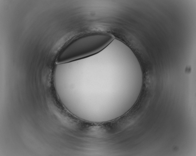 X0000112160544200909041129