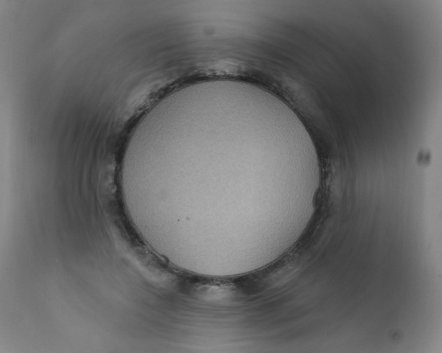 X0000112160548200909041129