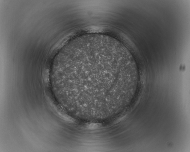 X0000112160549200909041129