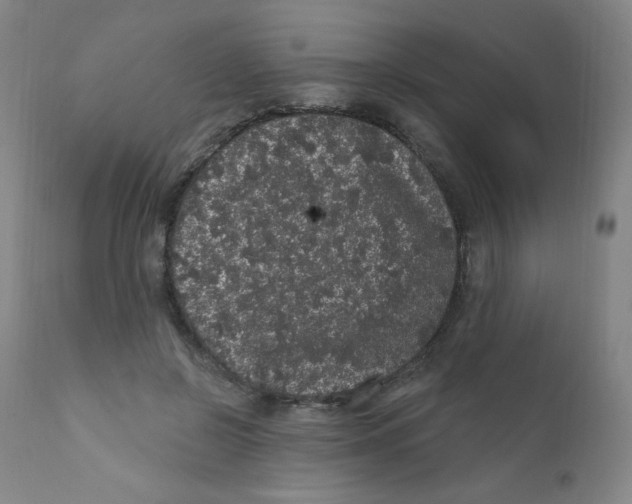 X0000112160550200909041129