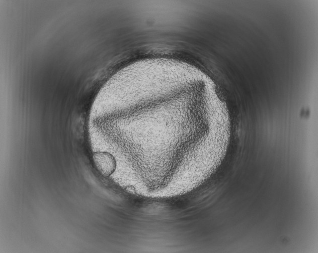 X0000112160551200909041129