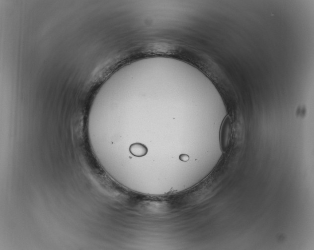 X0000112160552200909041129