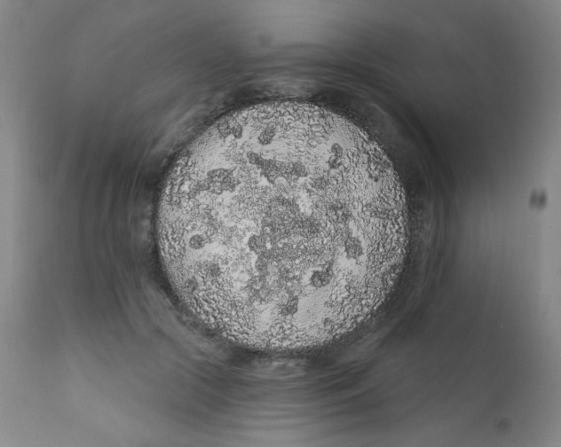 X0000112160553200909041129