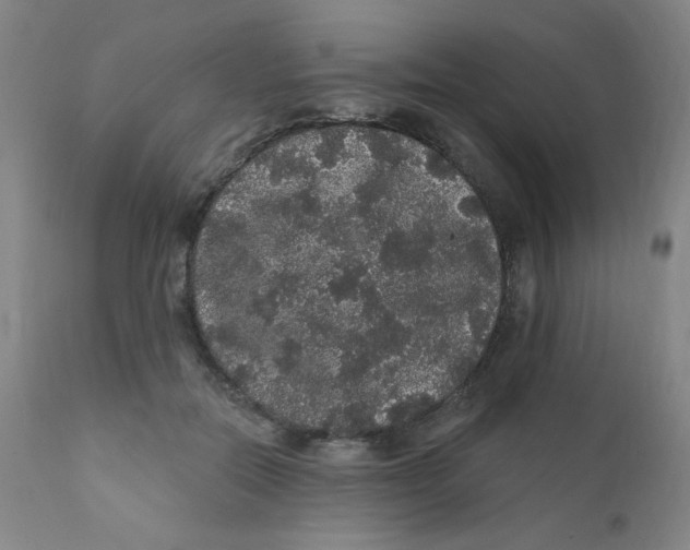 X0000112160554200909041129