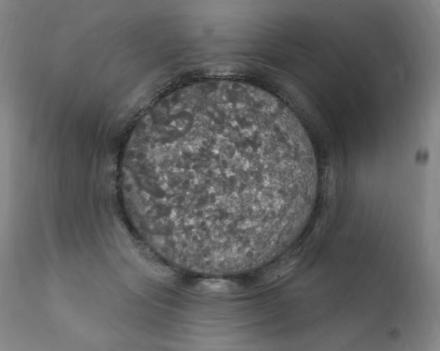 X0000112160557200909041129