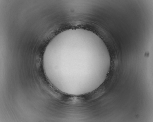 X0000112160558200909041129