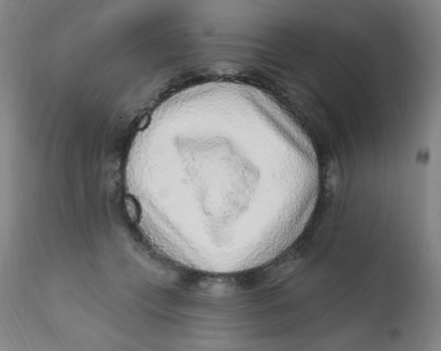 X0000112160559200909041129