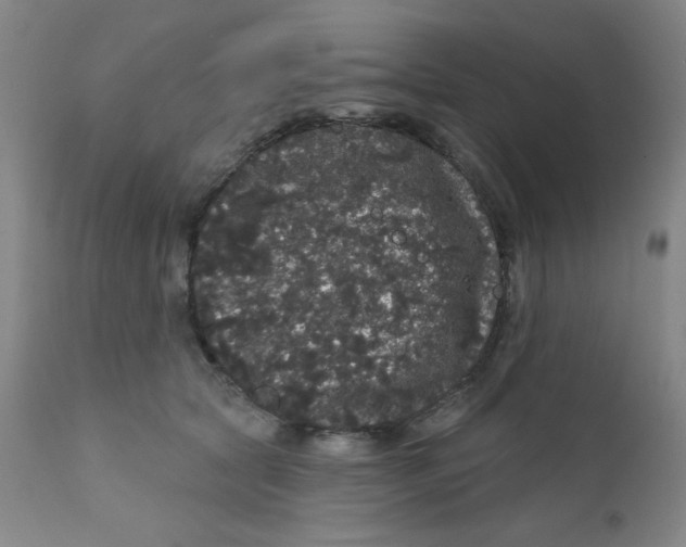 X0000112160561200909041129