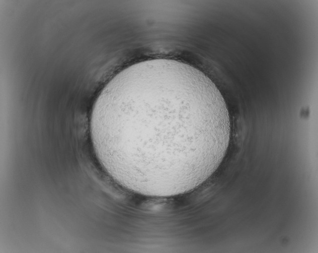 X0000112160563200909041129