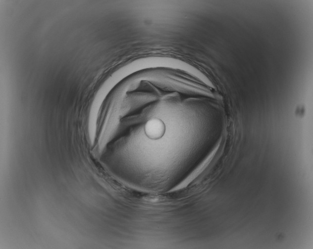 X0000112160564200909041129