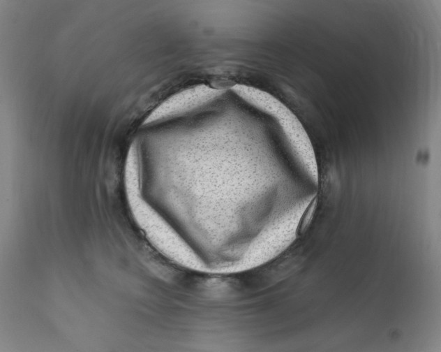 X0000112160566200909041129