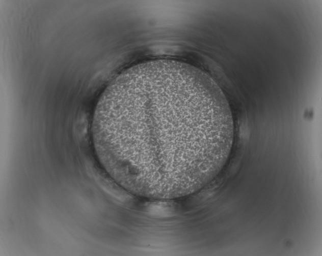 X0000112160567200909041129
