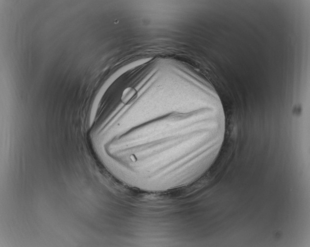 X0000112160568200909041129