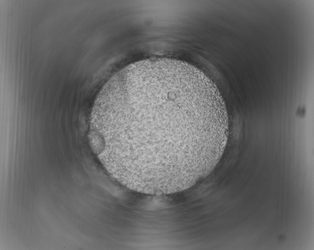 X0000112160569200909041129