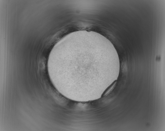 X0000112160570200909041129