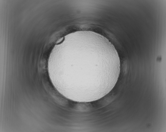 X0000112160571200909041129
