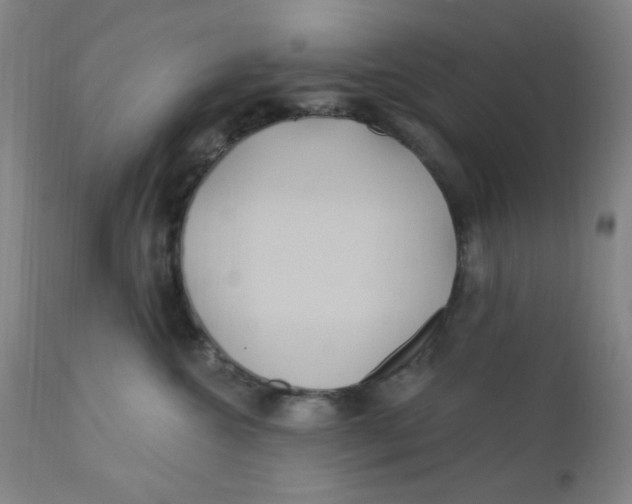 X0000112160572200909041129