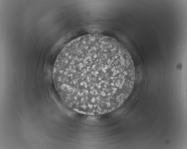 X0000112160573200909041129