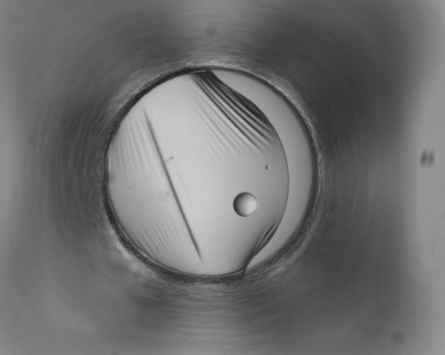 X0000112160577200909041129
