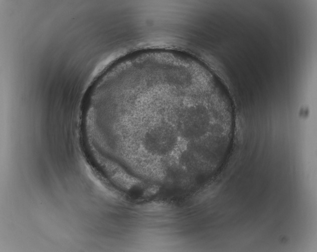 X0000112160578200909041129