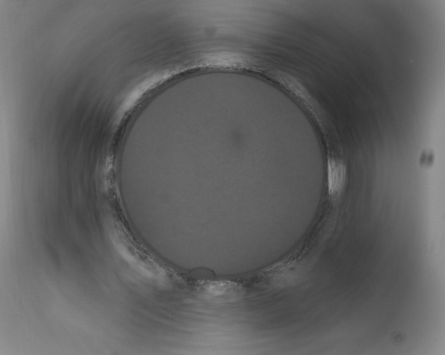X0000112160579200909041129